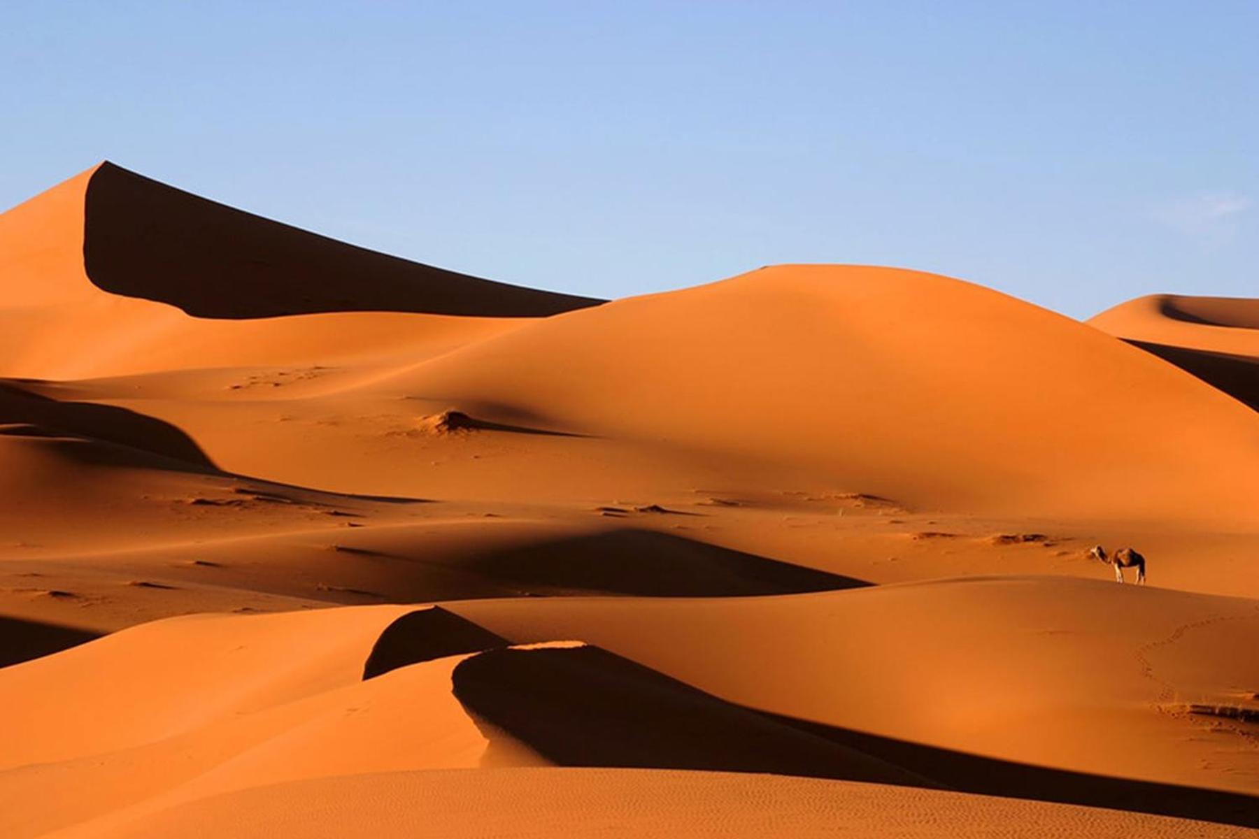 Desert Chegaga Luxury Camp El Gouera Exteriör bild